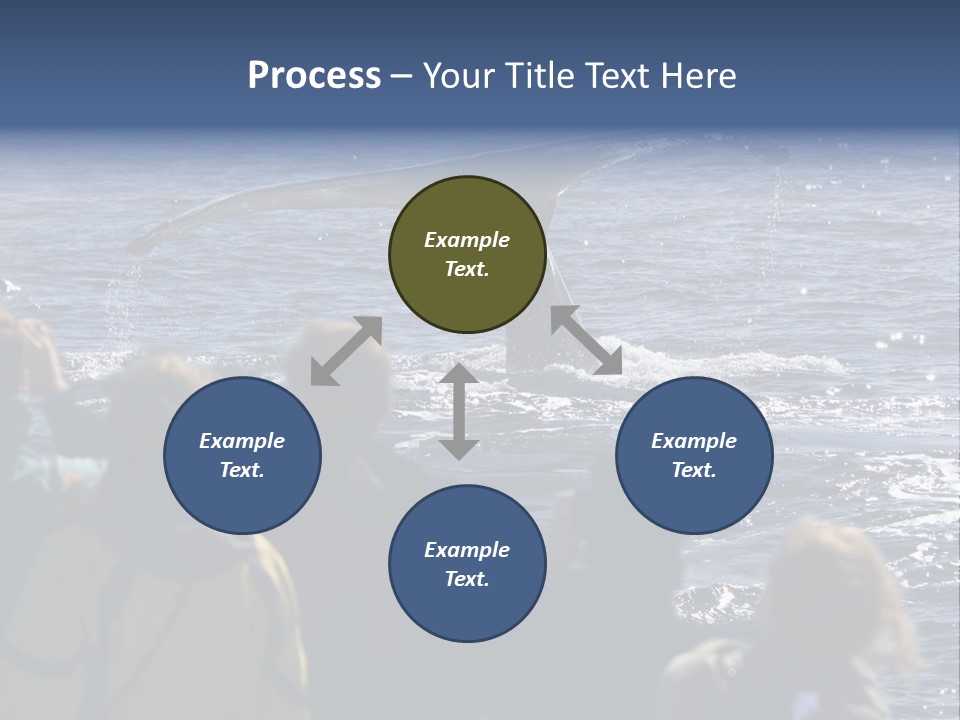 People On A Whale Watching Trip PowerPoint Template