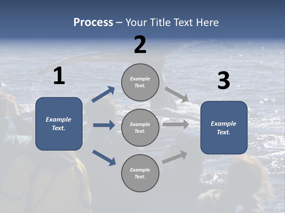 People On A Whale Watching Trip PowerPoint Template