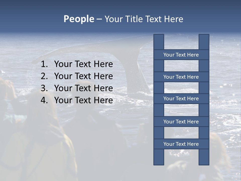People On A Whale Watching Trip PowerPoint Template