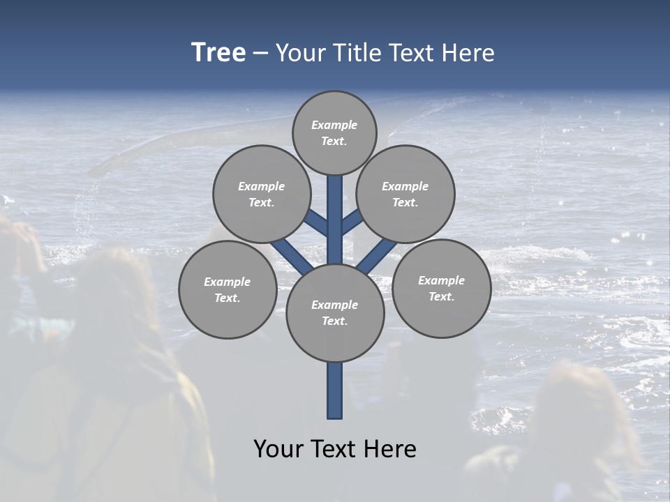 People On A Whale Watching Trip PowerPoint Template