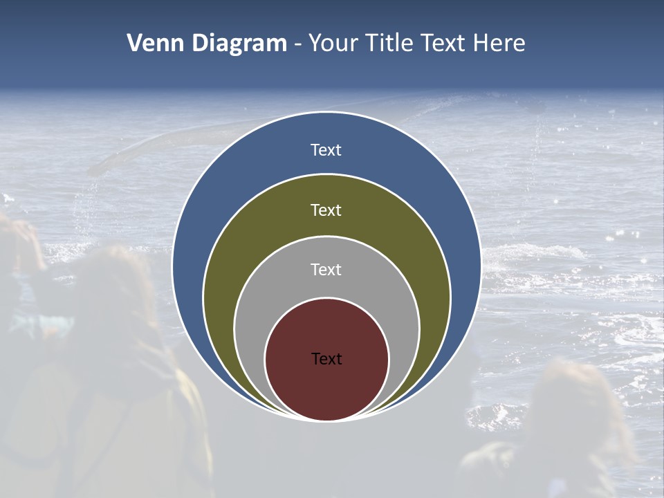 People On A Whale Watching Trip PowerPoint Template