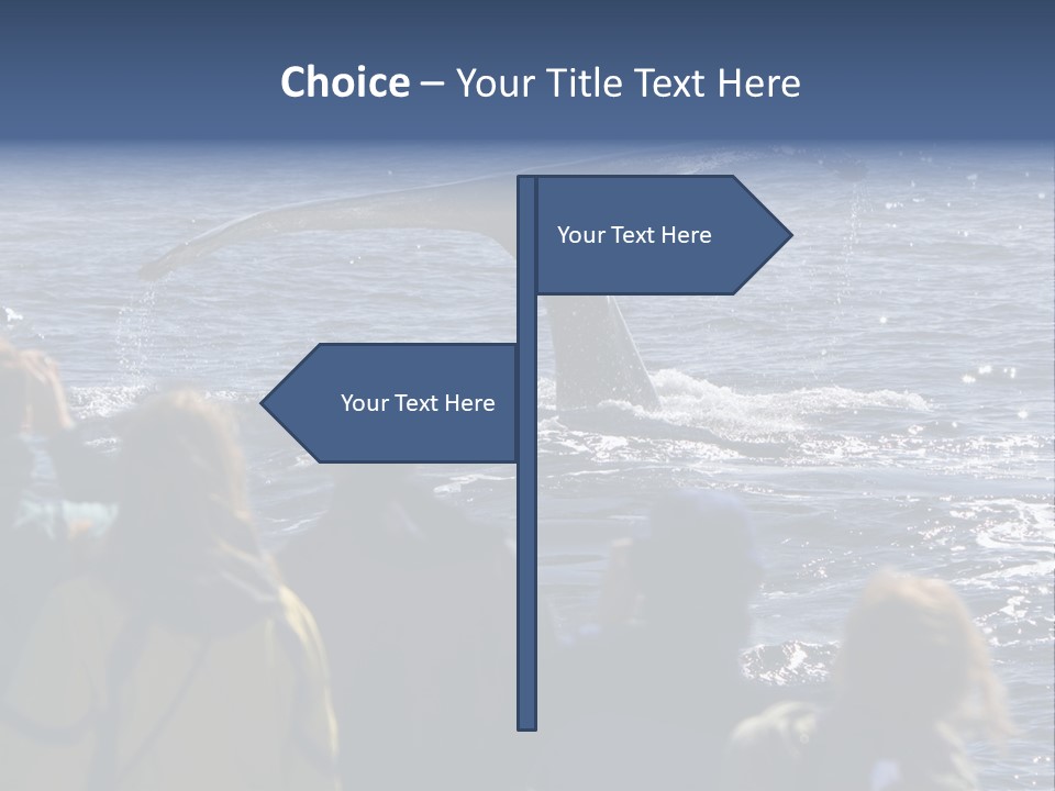 People On A Whale Watching Trip PowerPoint Template
