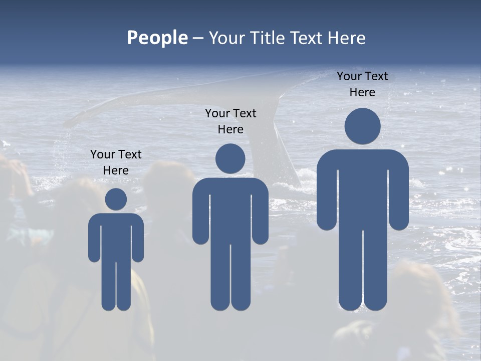 People On A Whale Watching Trip PowerPoint Template