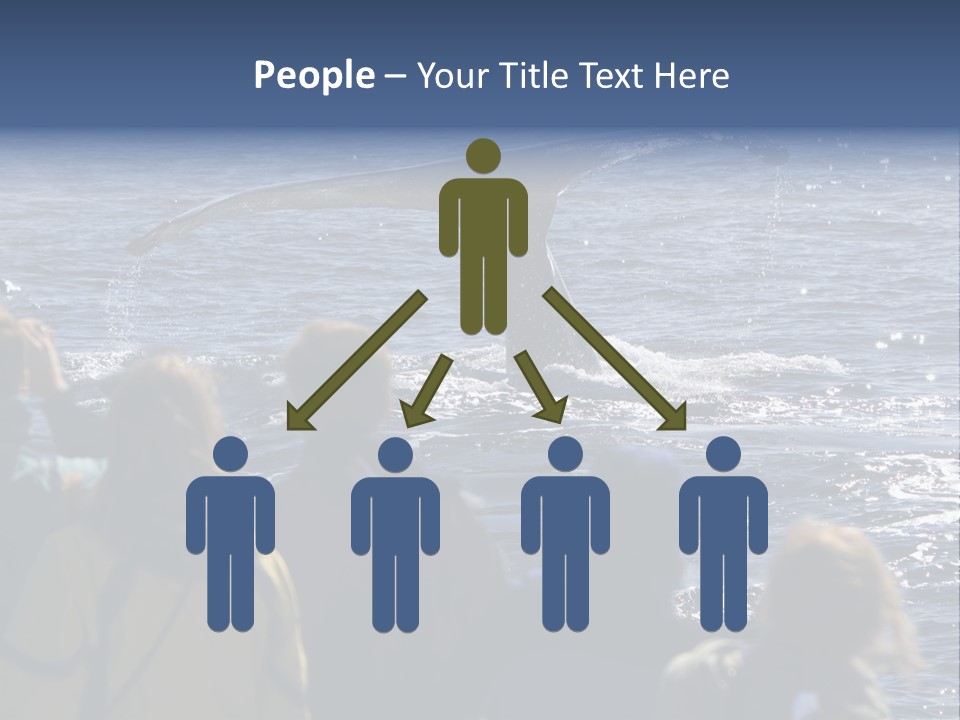 People On A Whale Watching Trip PowerPoint Template