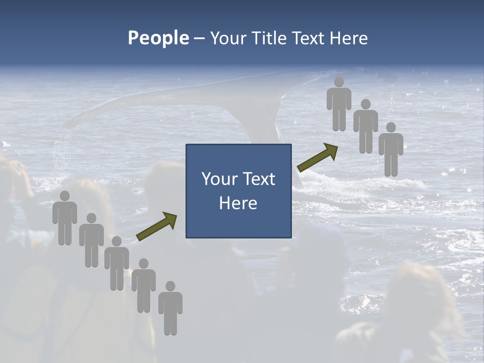 People On A Whale Watching Trip PowerPoint Template