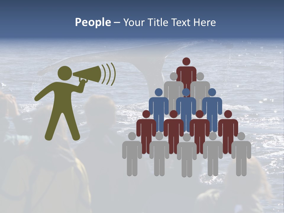 People On A Whale Watching Trip PowerPoint Template
