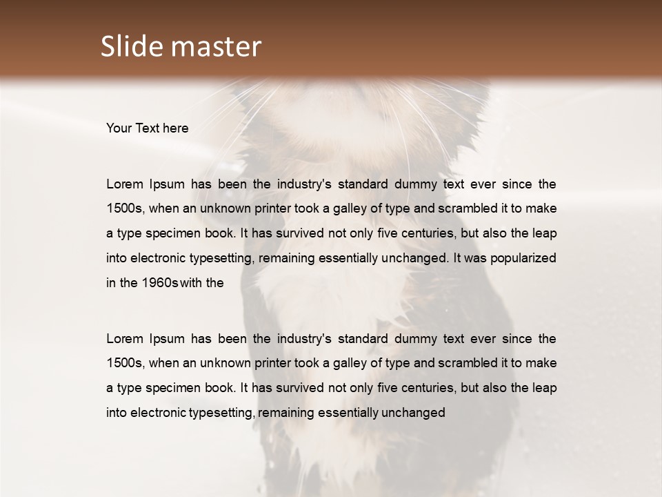 Cat Enjoying A Hot Bath And Shower PowerPoint Template