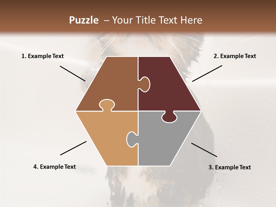 Cat Enjoying A Hot Bath And Shower PowerPoint Template