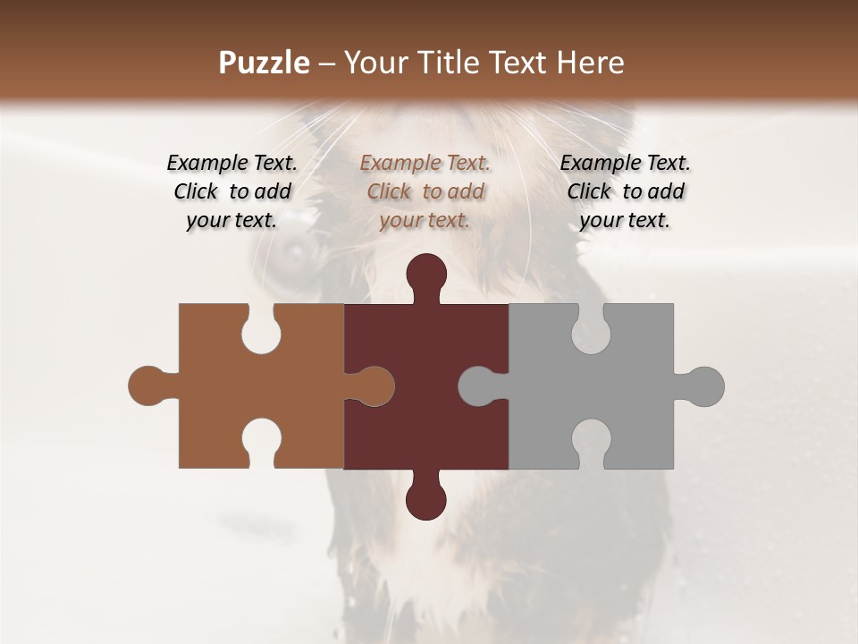 Cat Enjoying A Hot Bath And Shower PowerPoint Template