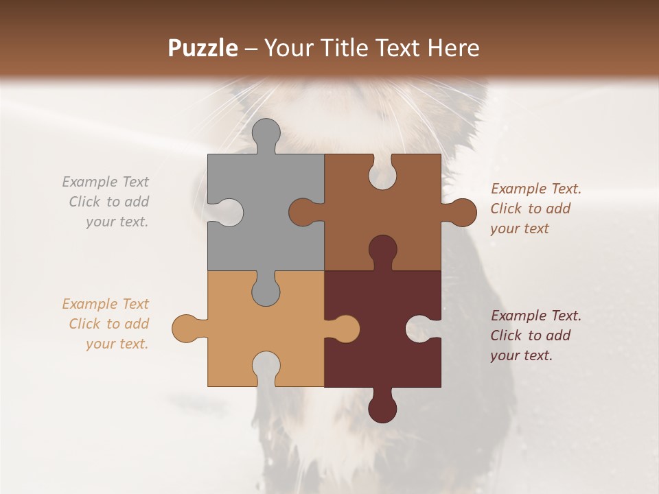 Cat Enjoying A Hot Bath And Shower PowerPoint Template