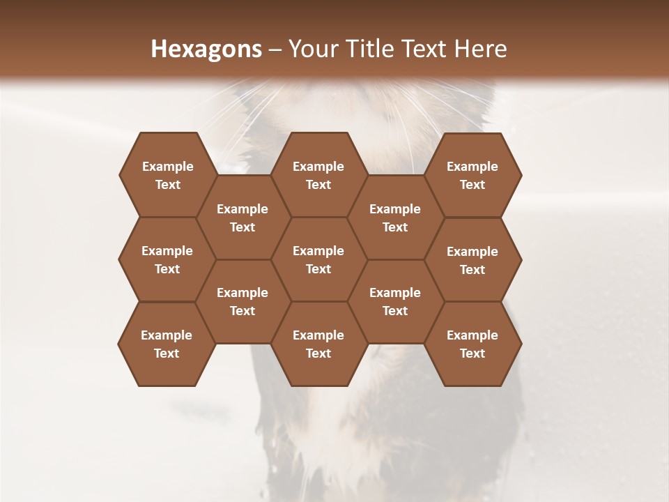 Cat Enjoying A Hot Bath And Shower PowerPoint Template