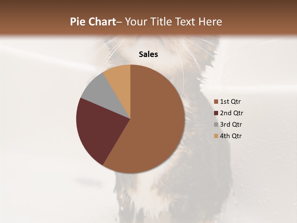 Cat Enjoying A Hot Bath And Shower PowerPoint Template