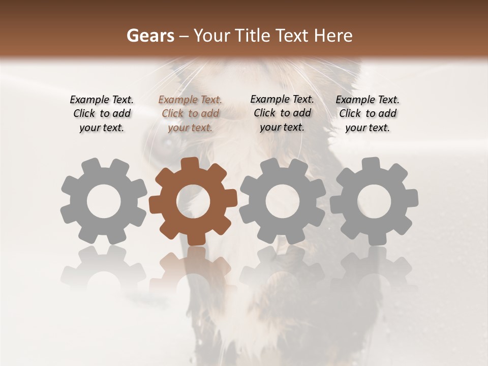 Cat Enjoying A Hot Bath And Shower PowerPoint Template