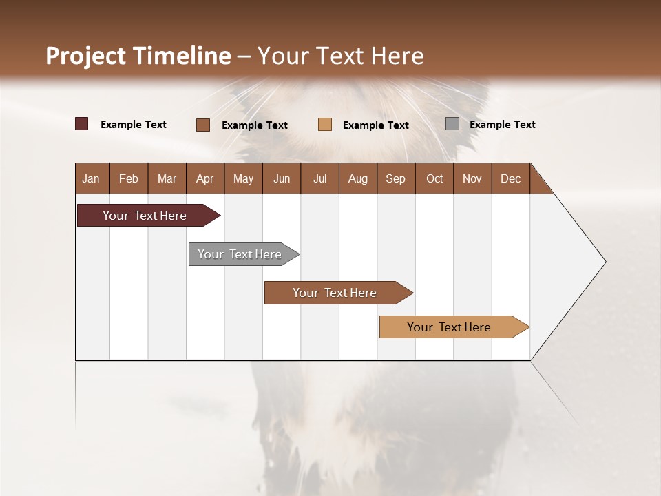 Cat Enjoying A Hot Bath And Shower PowerPoint Template