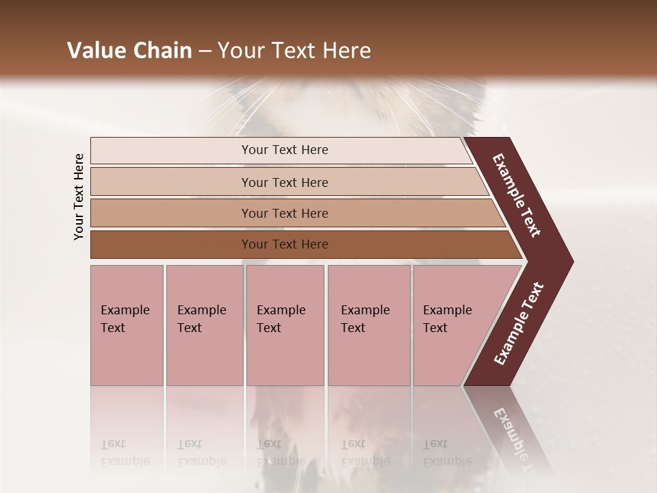 Cat Enjoying A Hot Bath And Shower PowerPoint Template