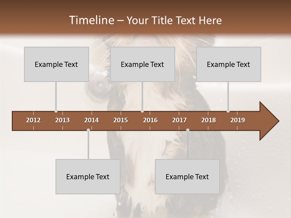 Cat Enjoying A Hot Bath And Shower PowerPoint Template