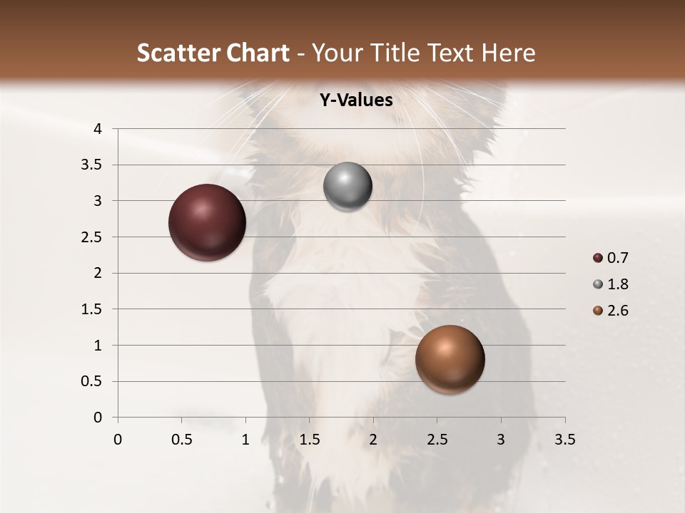 Cat Enjoying A Hot Bath And Shower PowerPoint Template