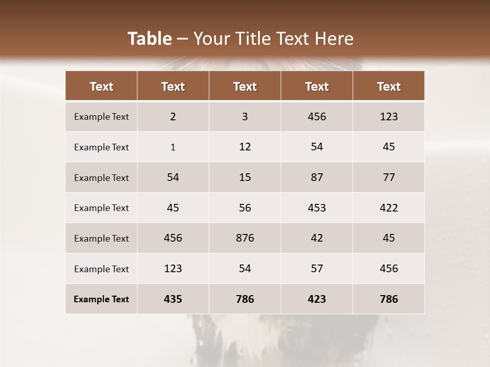 Cat Enjoying A Hot Bath And Shower PowerPoint Template