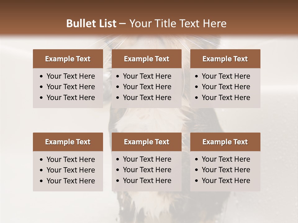 Cat Enjoying A Hot Bath And Shower PowerPoint Template