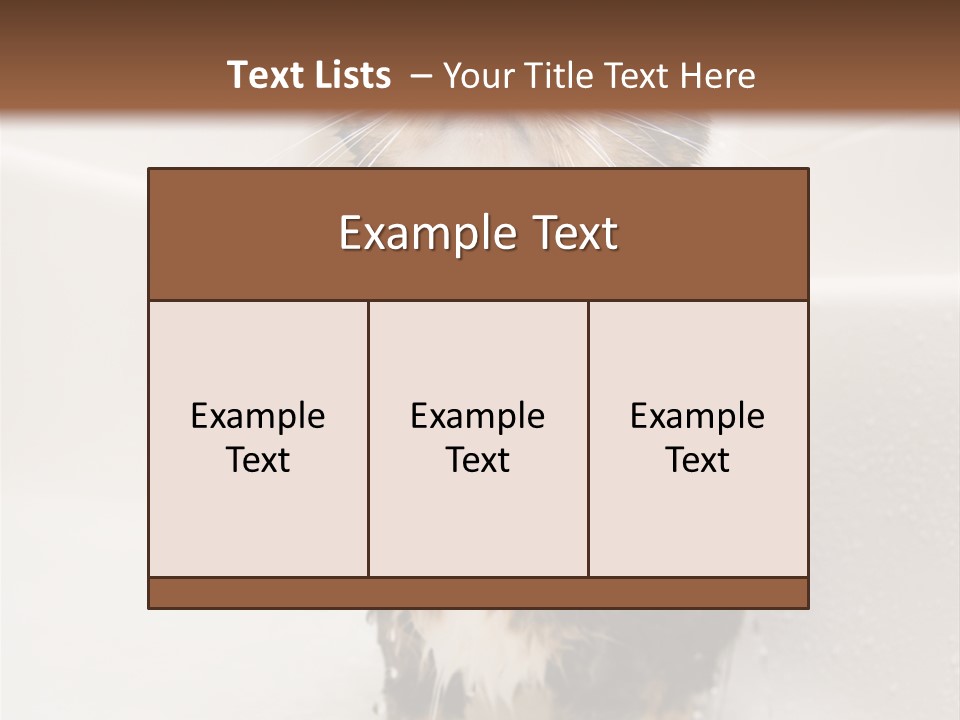 Cat Enjoying A Hot Bath And Shower PowerPoint Template