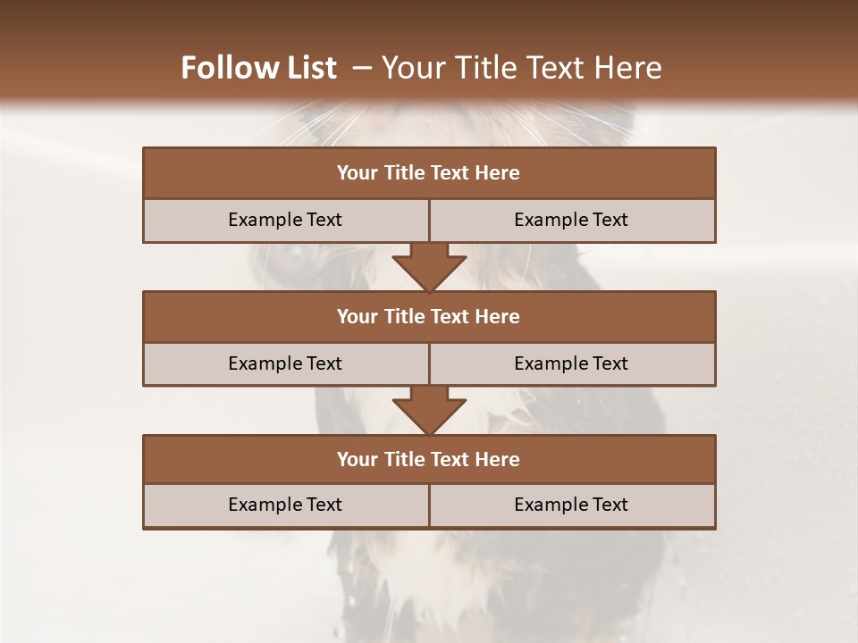 Cat Enjoying A Hot Bath And Shower PowerPoint Template