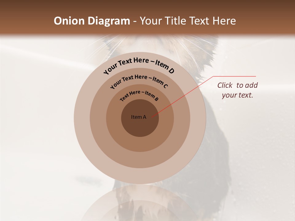 Cat Enjoying A Hot Bath And Shower PowerPoint Template