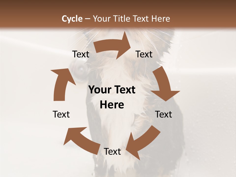 Cat Enjoying A Hot Bath And Shower PowerPoint Template