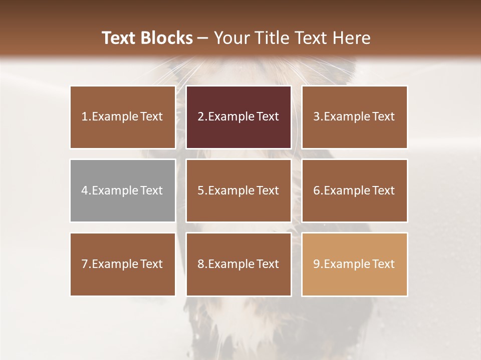 Cat Enjoying A Hot Bath And Shower PowerPoint Template