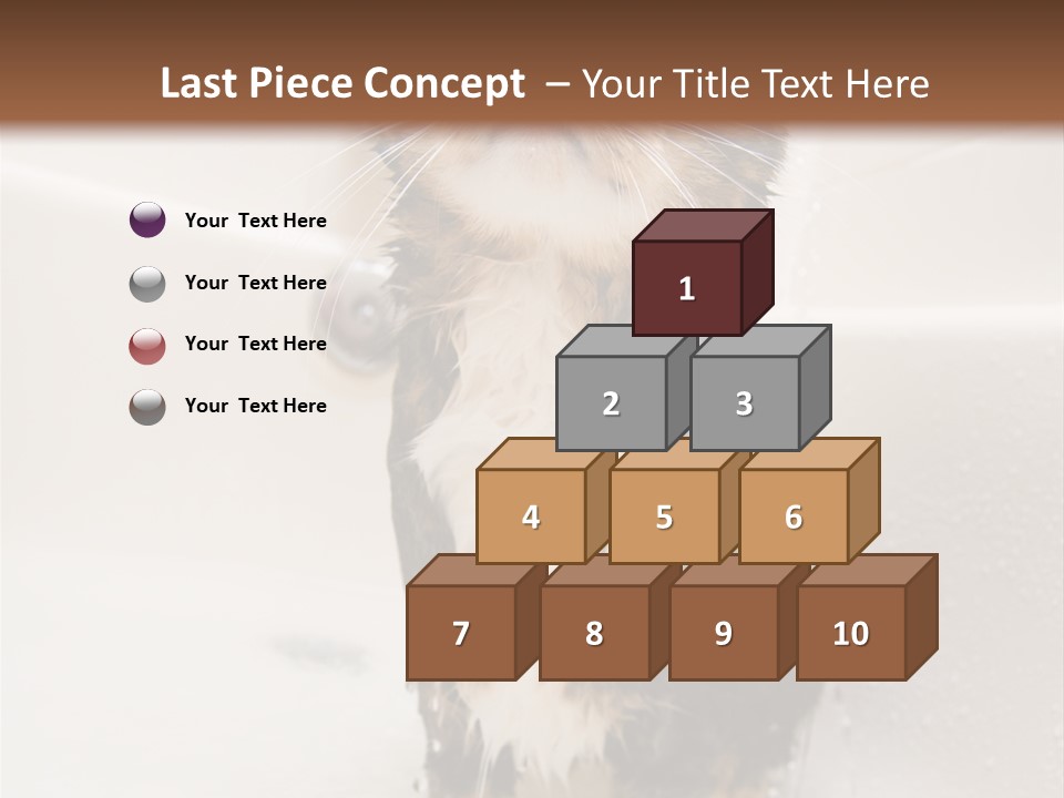 Cat Enjoying A Hot Bath And Shower PowerPoint Template