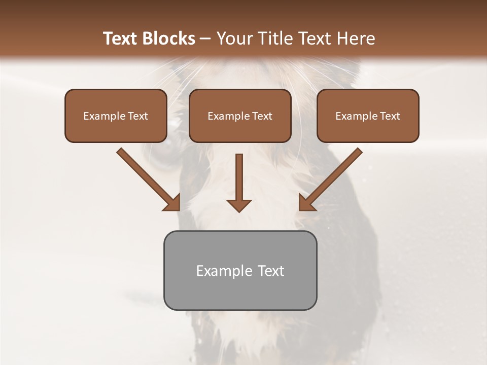 Cat Enjoying A Hot Bath And Shower PowerPoint Template