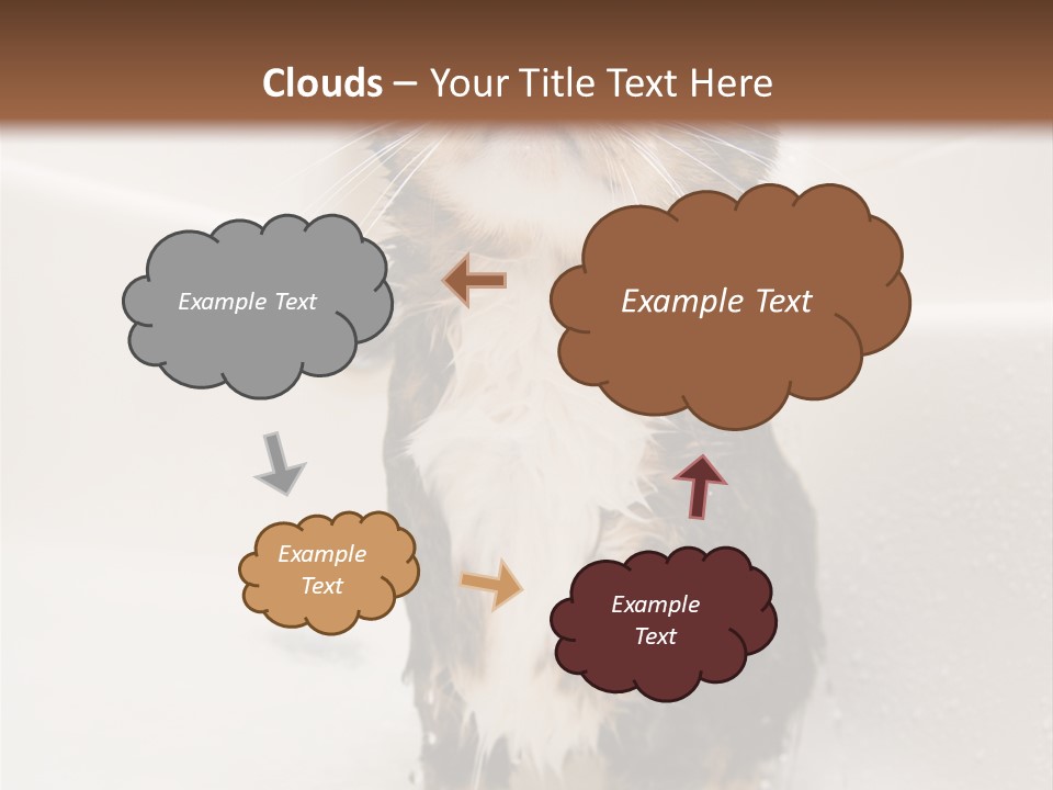 Cat Enjoying A Hot Bath And Shower PowerPoint Template