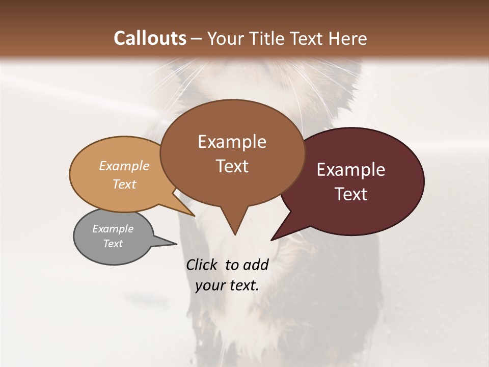 Cat Enjoying A Hot Bath And Shower PowerPoint Template