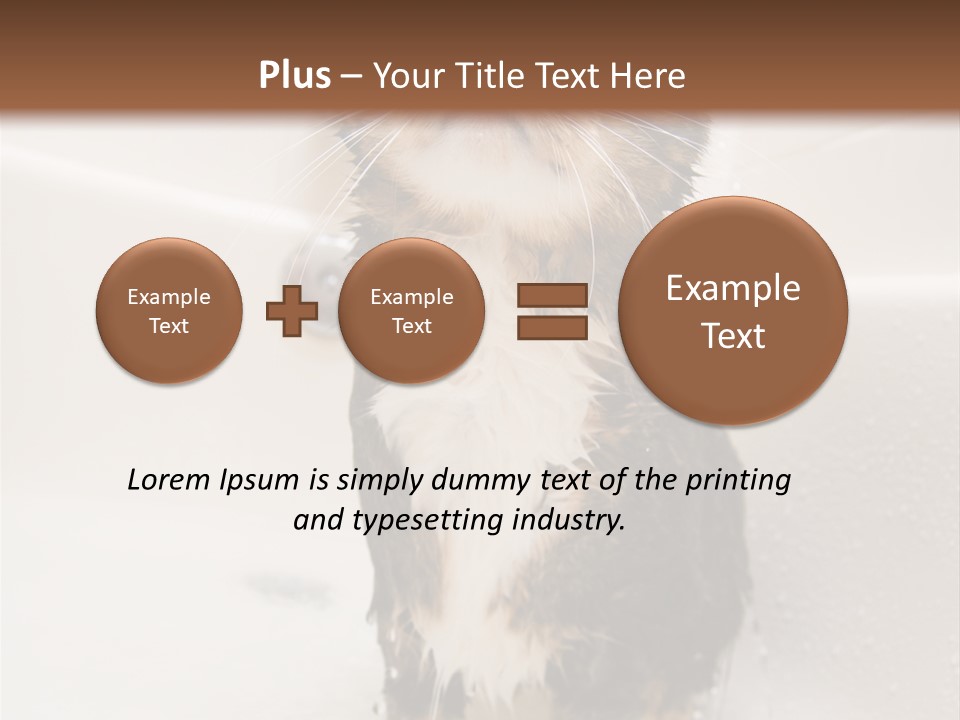 Cat Enjoying A Hot Bath And Shower PowerPoint Template