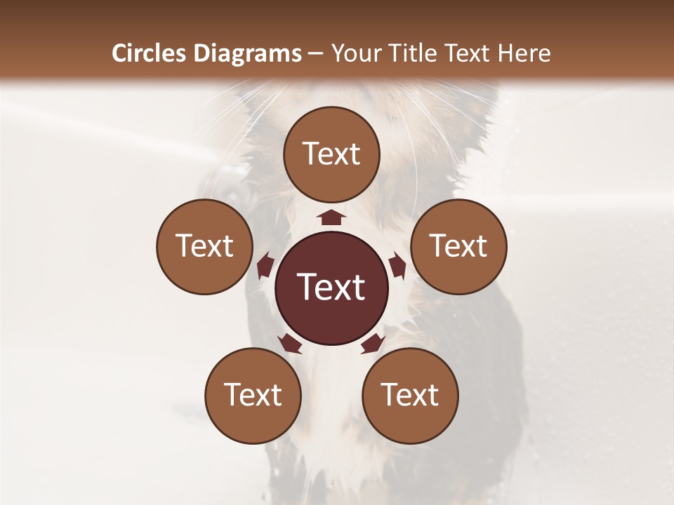 Cat Enjoying A Hot Bath And Shower PowerPoint Template