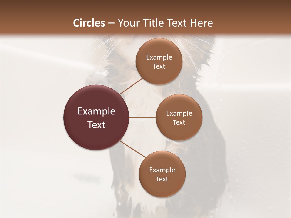 Cat Enjoying A Hot Bath And Shower PowerPoint Template