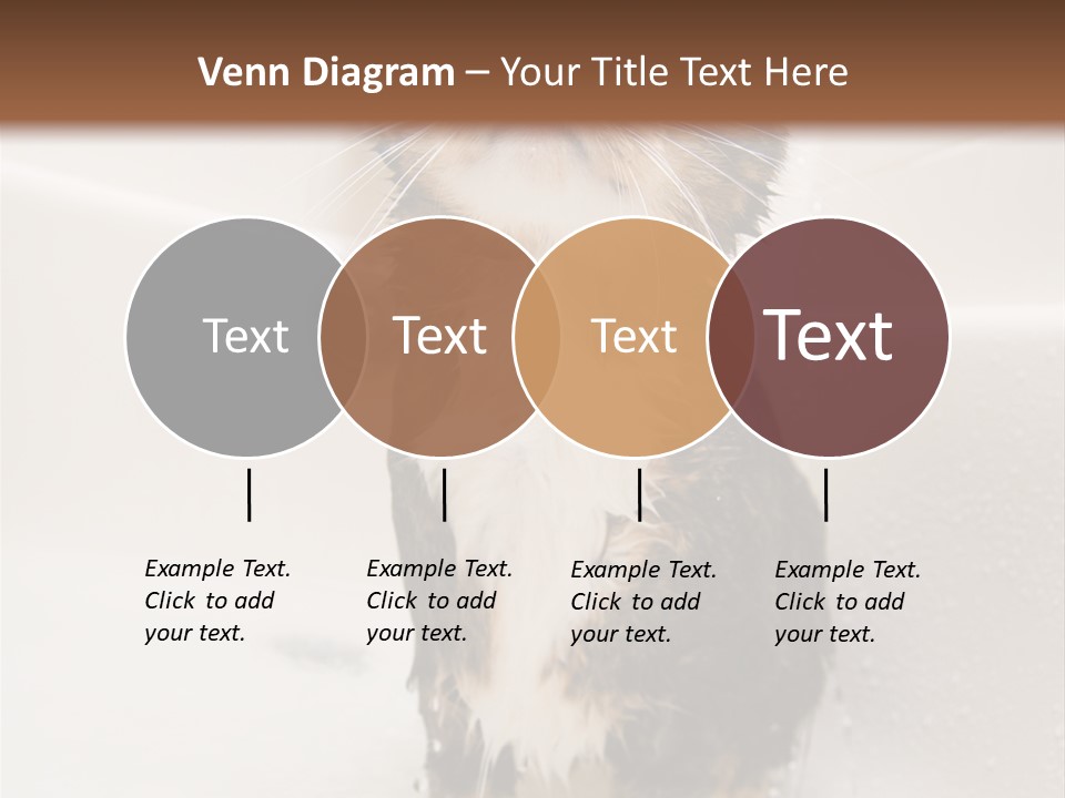 Cat Enjoying A Hot Bath And Shower PowerPoint Template