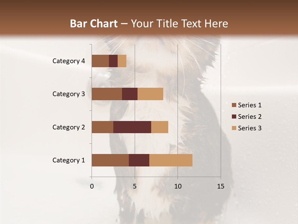 Cat Enjoying A Hot Bath And Shower PowerPoint Template