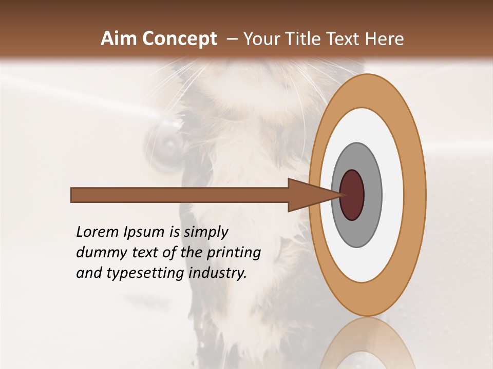 Cat Enjoying A Hot Bath And Shower PowerPoint Template