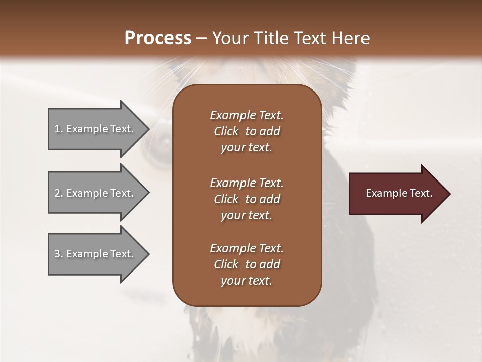 Cat Enjoying A Hot Bath And Shower PowerPoint Template