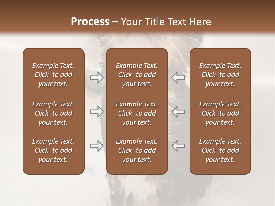 Cat Enjoying A Hot Bath And Shower PowerPoint Template