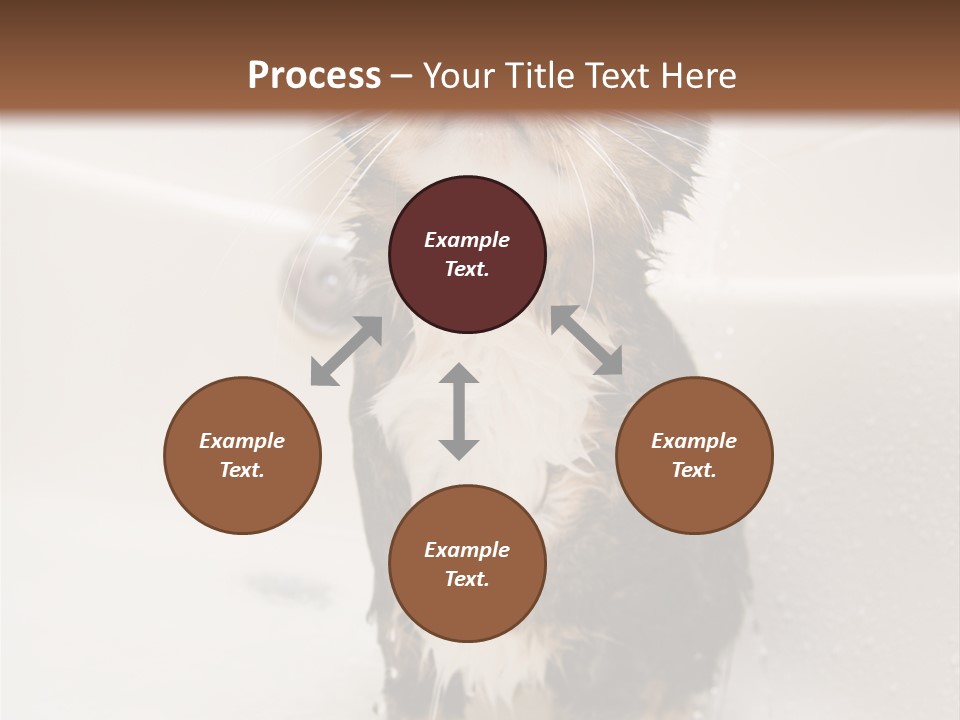 Cat Enjoying A Hot Bath And Shower PowerPoint Template