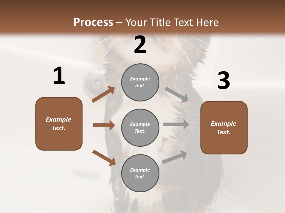 Cat Enjoying A Hot Bath And Shower PowerPoint Template