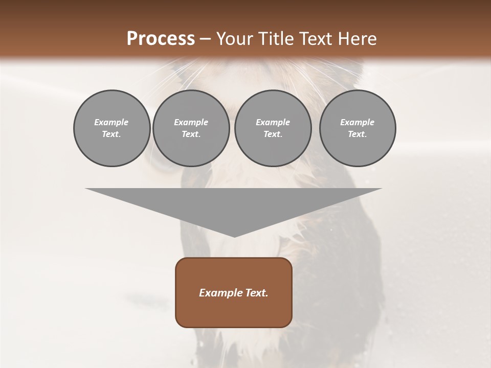 Cat Enjoying A Hot Bath And Shower PowerPoint Template