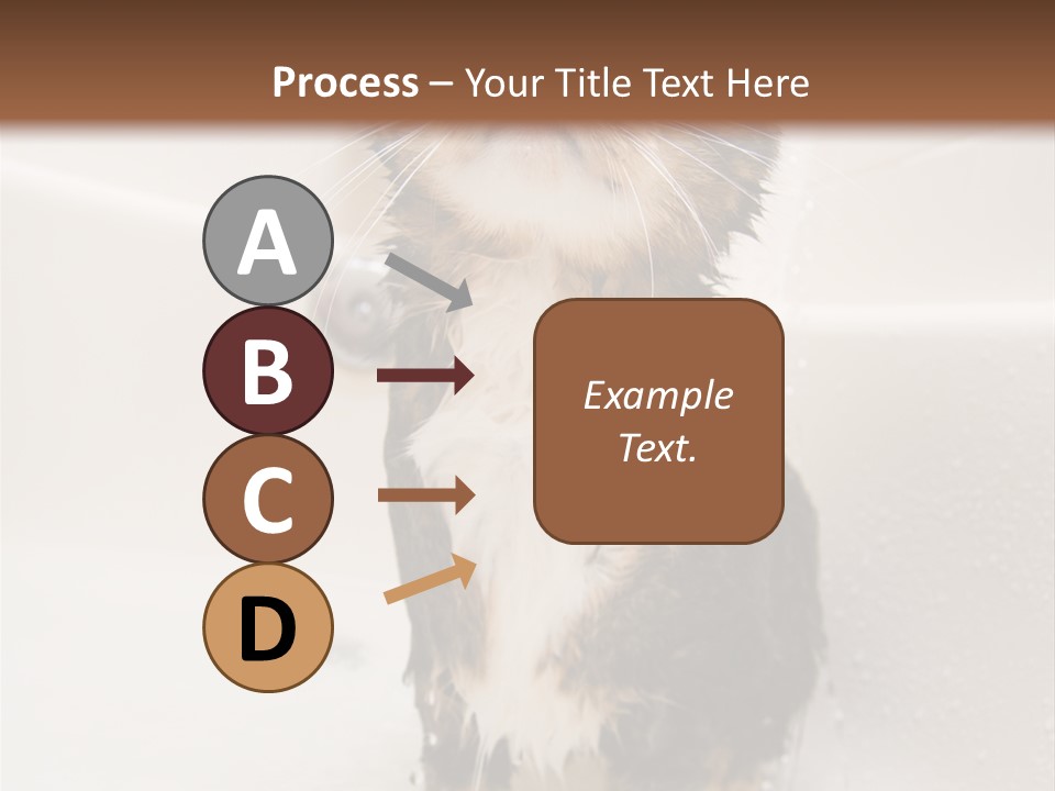 Cat Enjoying A Hot Bath And Shower PowerPoint Template