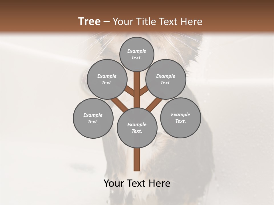 Cat Enjoying A Hot Bath And Shower PowerPoint Template