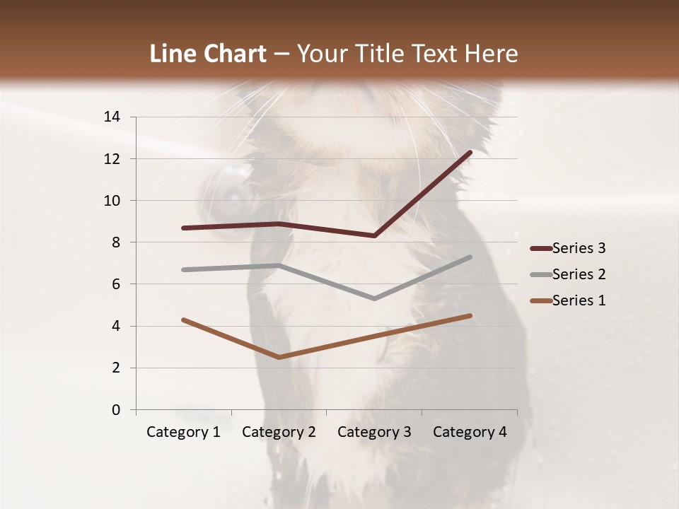 Cat Enjoying A Hot Bath And Shower PowerPoint Template