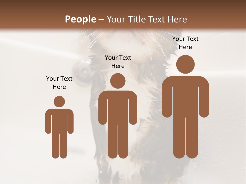 Cat Enjoying A Hot Bath And Shower PowerPoint Template