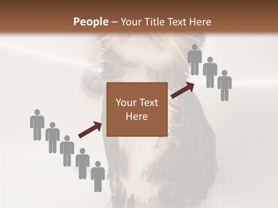 Cat Enjoying A Hot Bath And Shower PowerPoint Template