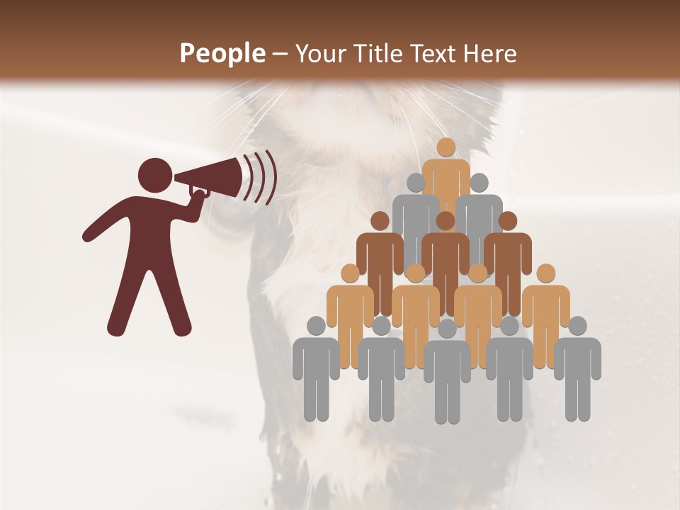 Cat Enjoying A Hot Bath And Shower PowerPoint Template