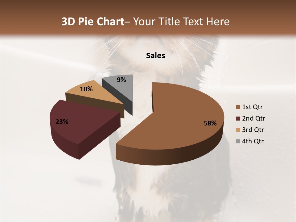 Cat Enjoying A Hot Bath And Shower PowerPoint Template